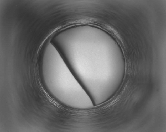 X0000084520827200702230835