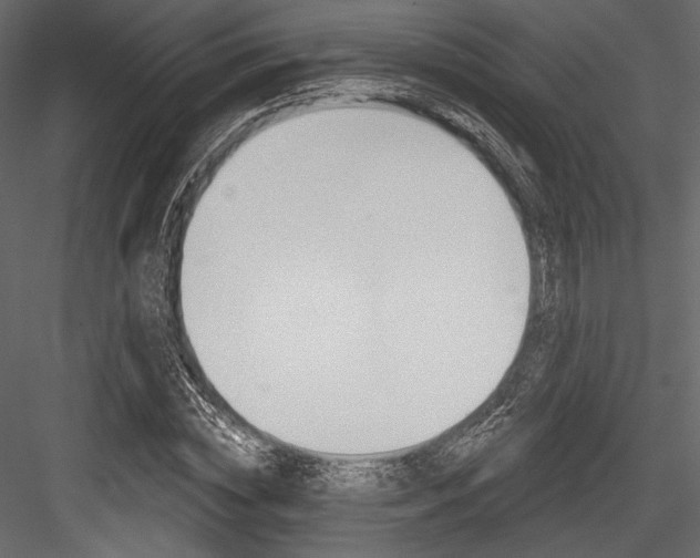 X0000084520828200702230835