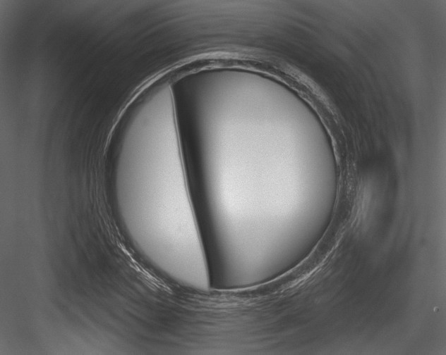 X0000084520829200702230835