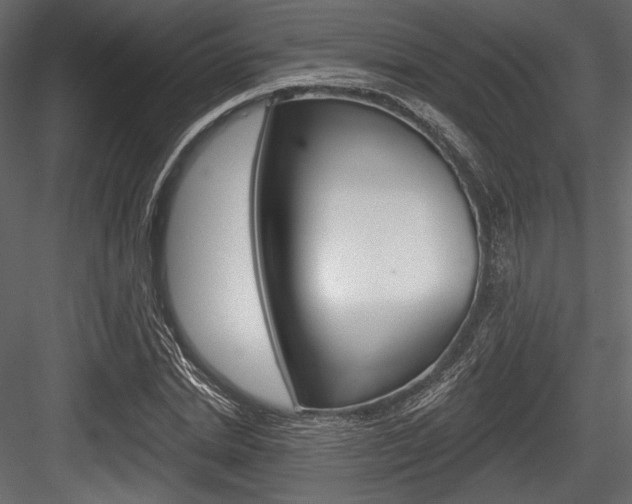 X0000084520830200702230835