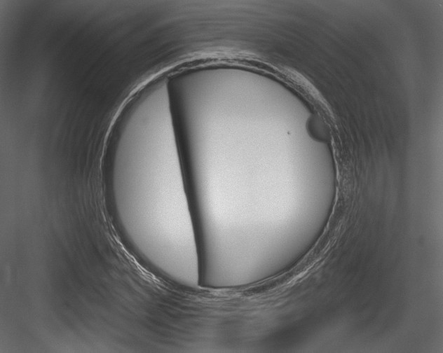 X0000084520831200702230835