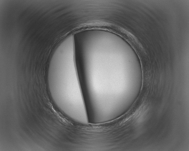 X0000084520833200702230835