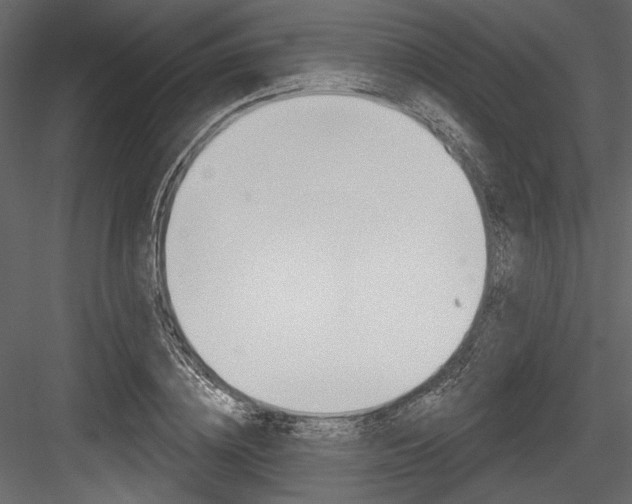 X0000084520836200702230835