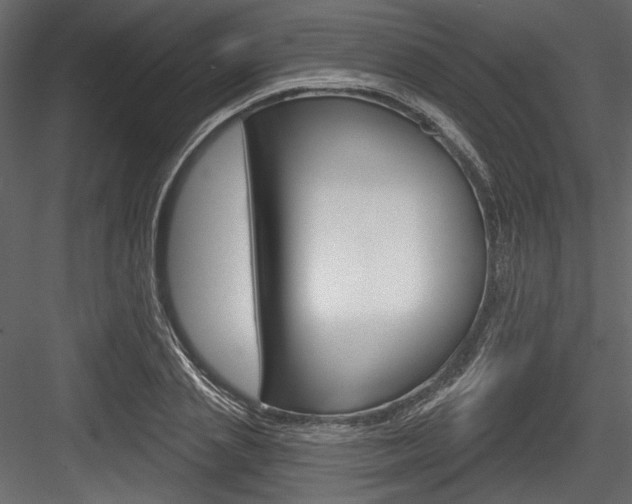 X0000084520837200702230835