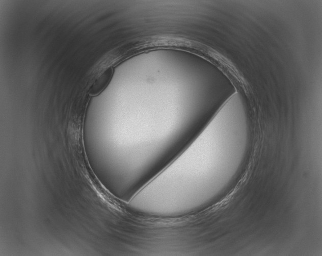 X0000084520841200702230836