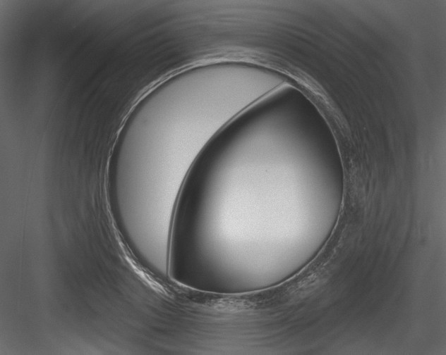 X0000084520842200702230836