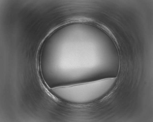 X0000084520843200702230836