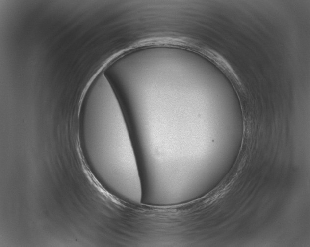 X0000084520844200702230836
