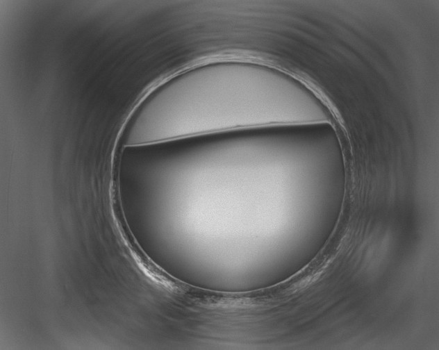 X0000084520845200702230836