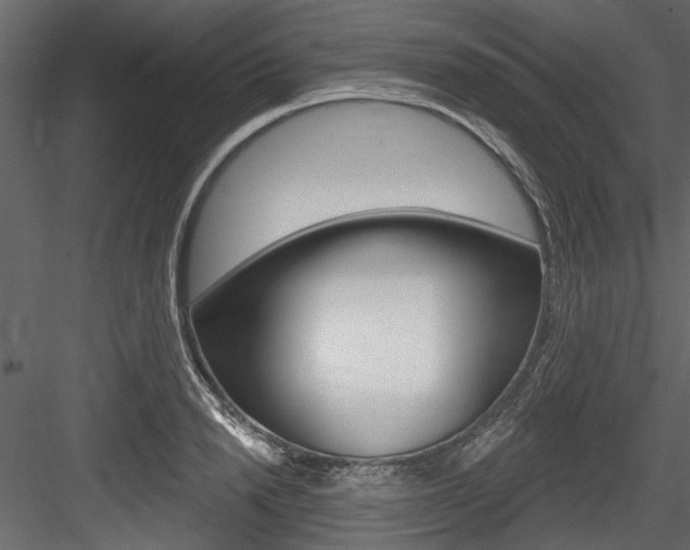X0000084520846200702230836