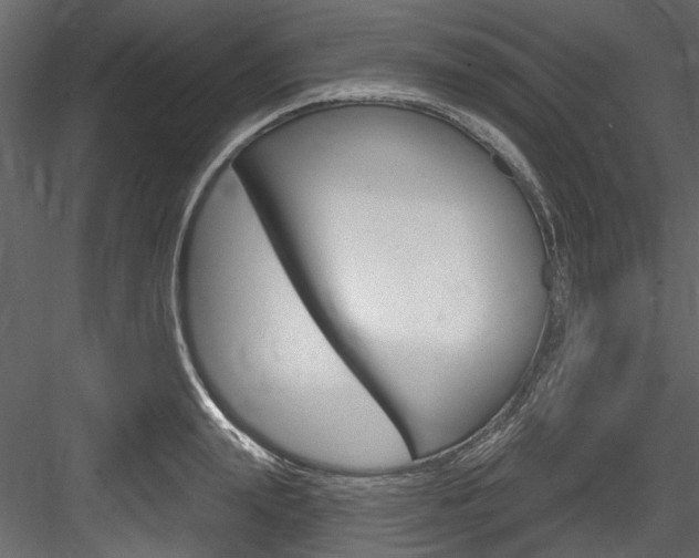 X0000084520847200702230836