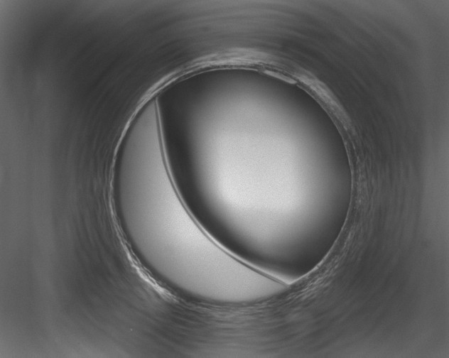 X0000084520850200702230836