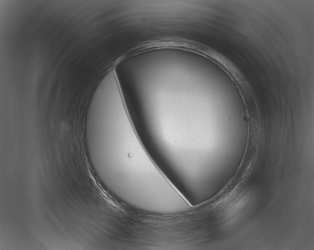 X0000084520857200702230836
