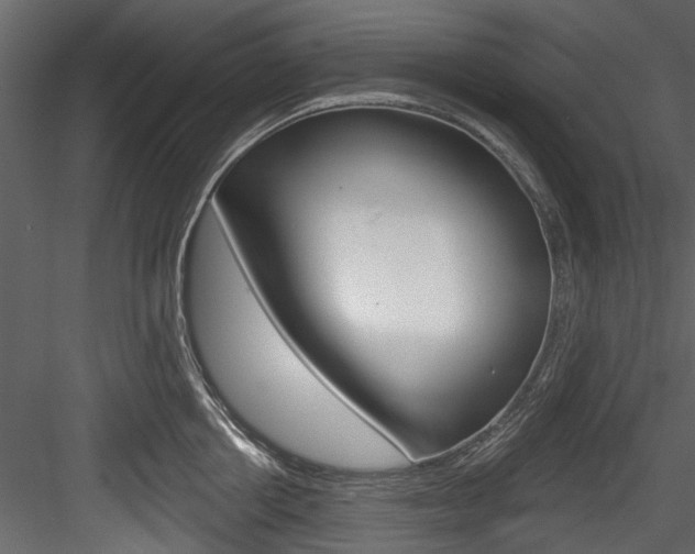 X0000084520858200702230836