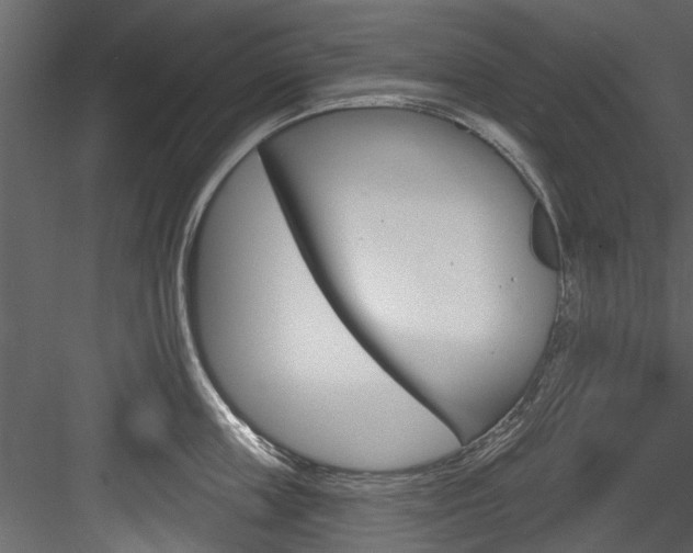 X0000084520859200702230836
