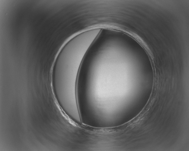 X0000084520862200702230836