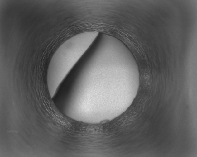 X0000084520865200702230835