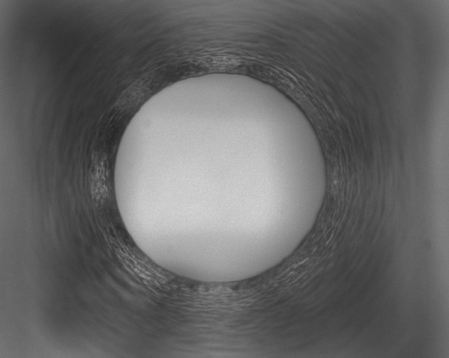 X0000084520866200702230835