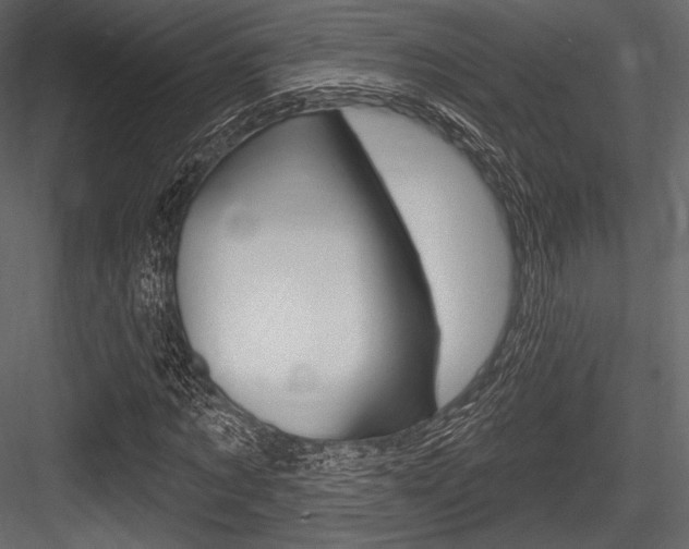 X0000084520869200702230835