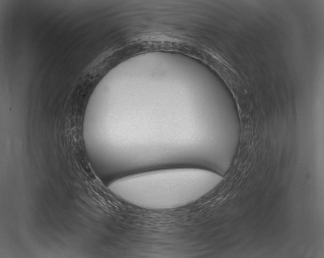 X0000084520870200702230835