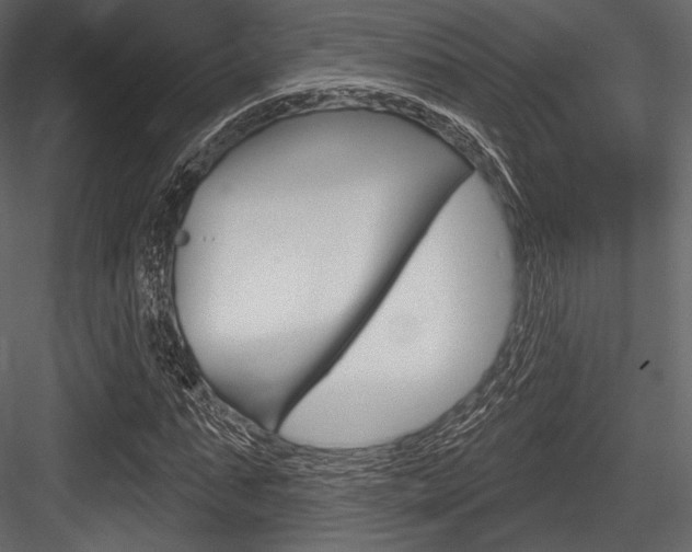 X0000084520871200702230835