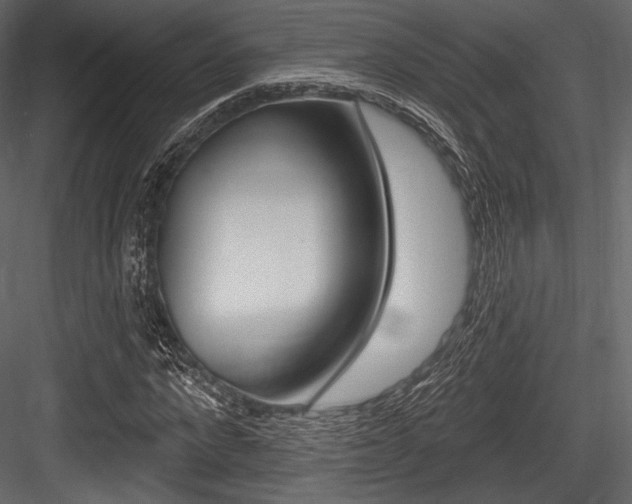X0000084520872200702230835