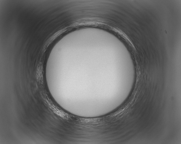 X0000084520874200702230835