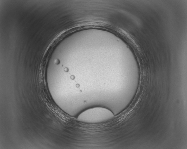 X0000084520875200702230835