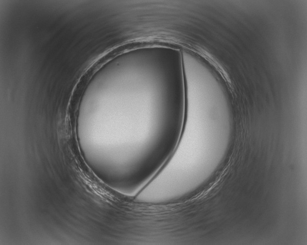 X0000084520876200702230835