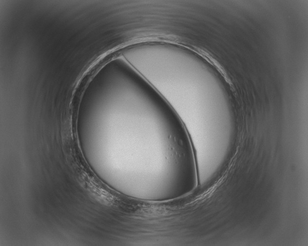 X0000084520877200702230835