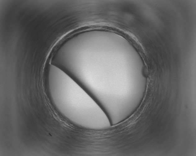 X0000084520879200702230835