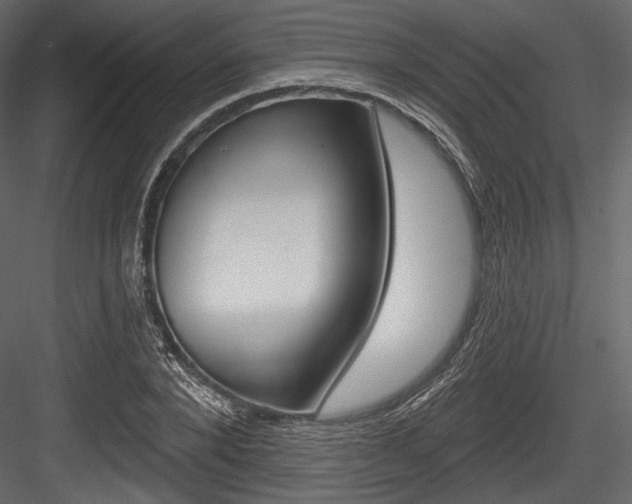 X0000084520880200702230835