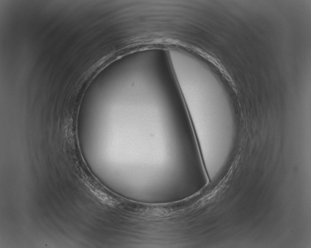 X0000084520881200702230835