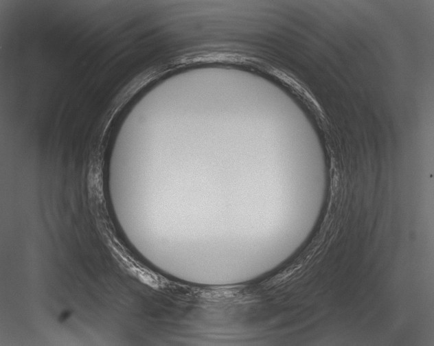 X0000084520882200702230835