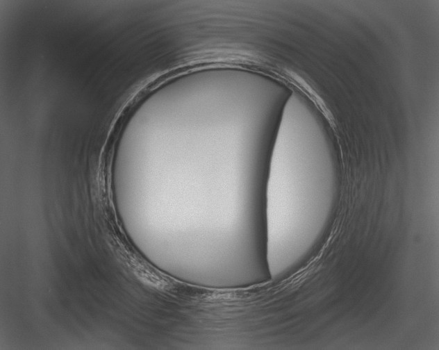 X0000084520883200702230835