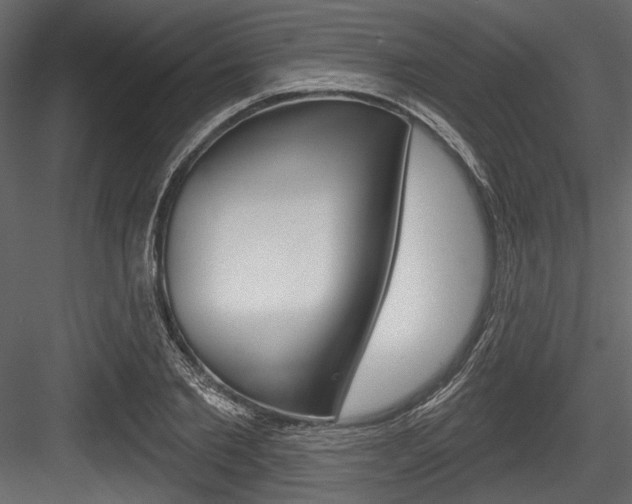 X0000084520885200702230835