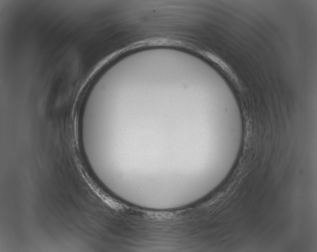X0000084520886200702230835