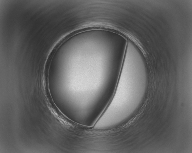 X0000084520888200702230835