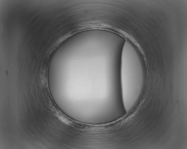 X0000084520889200702230835