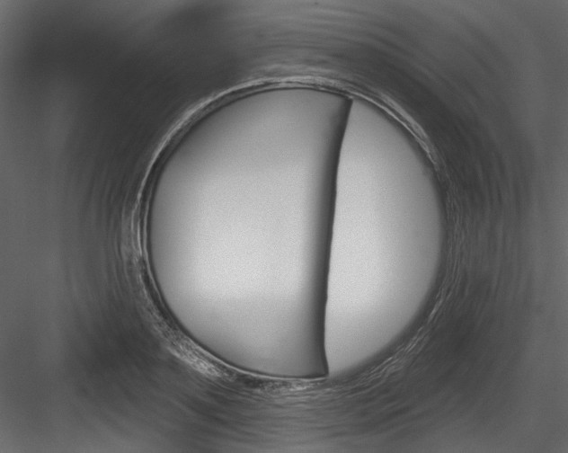 X0000084520891200702230835