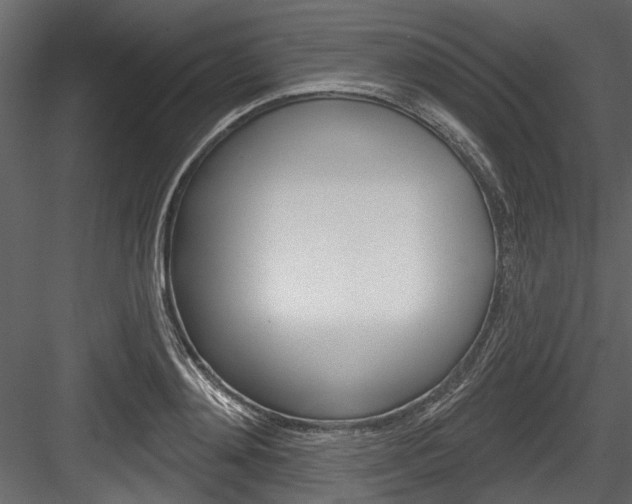 X0000084520892200702230835