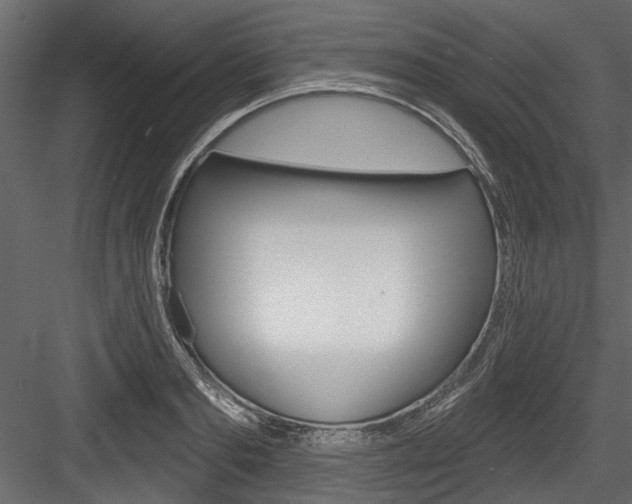 X0000084520893200702230835