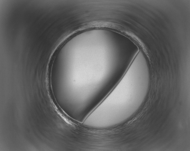 X0000084520894200702230835