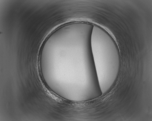X0000084520895200702230835