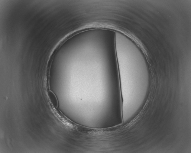 X0000084520896200702230835