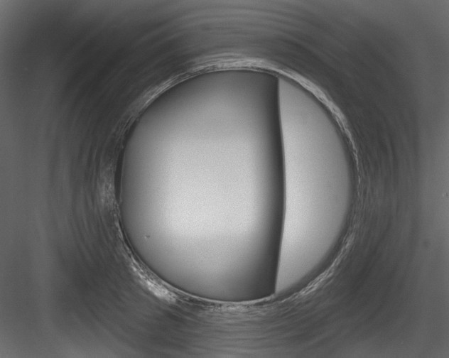 X0000084520897200702230835