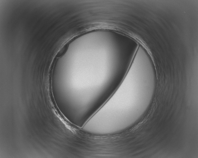 X0000084520898200702230835