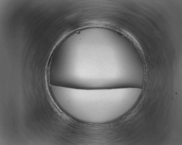 X0000084520899200702230835