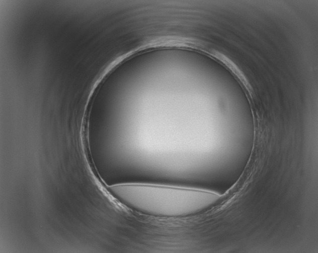 X0000084520901200702230834