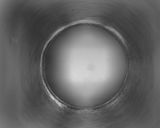 X0000084520902200702230834